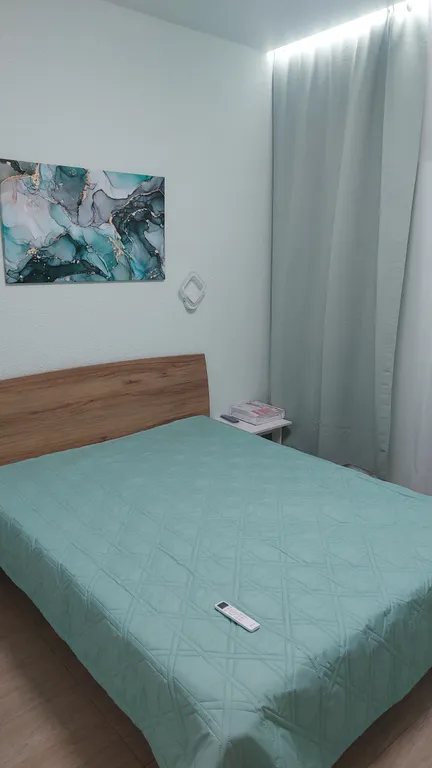 Квартира Квартира Уютная евродвушка после ремонта — Сириус