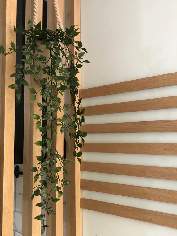 Студия с отдельным входом