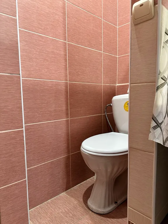 У Ледового дворца