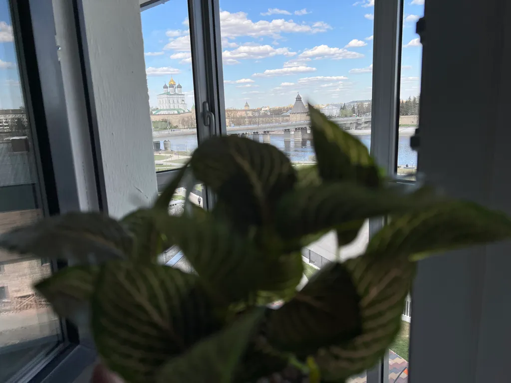 Видовая квартира в самом центре древнего города