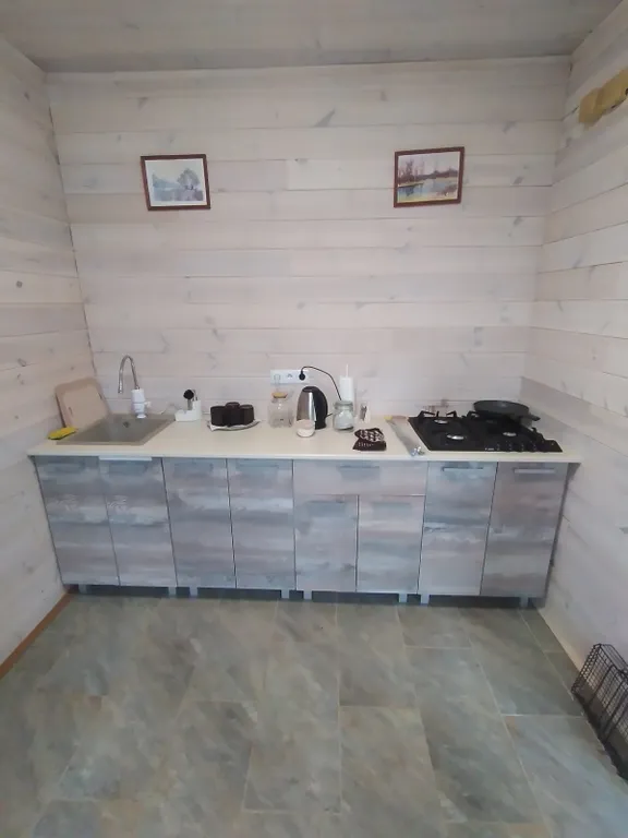 Дом с красивым видом на озеро Дривяты