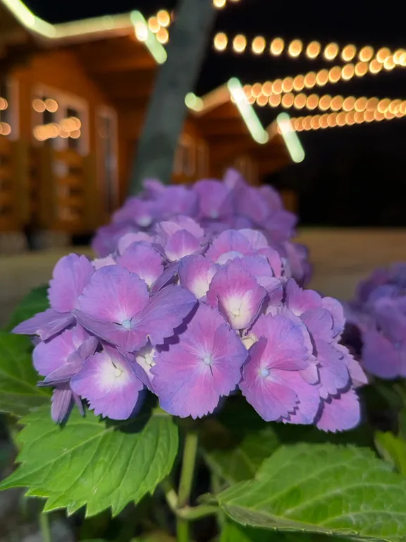 Баракиат - база отдыха