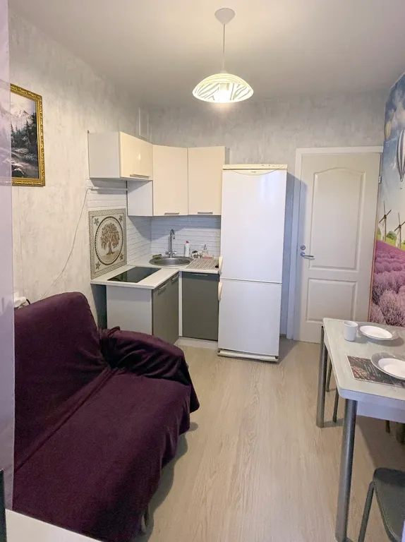 Однокомнатная в Петра Дубраве