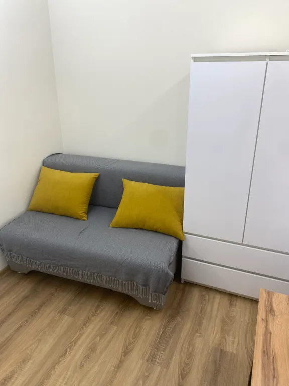 Уютная студия в центре города легендарная "миллионка"