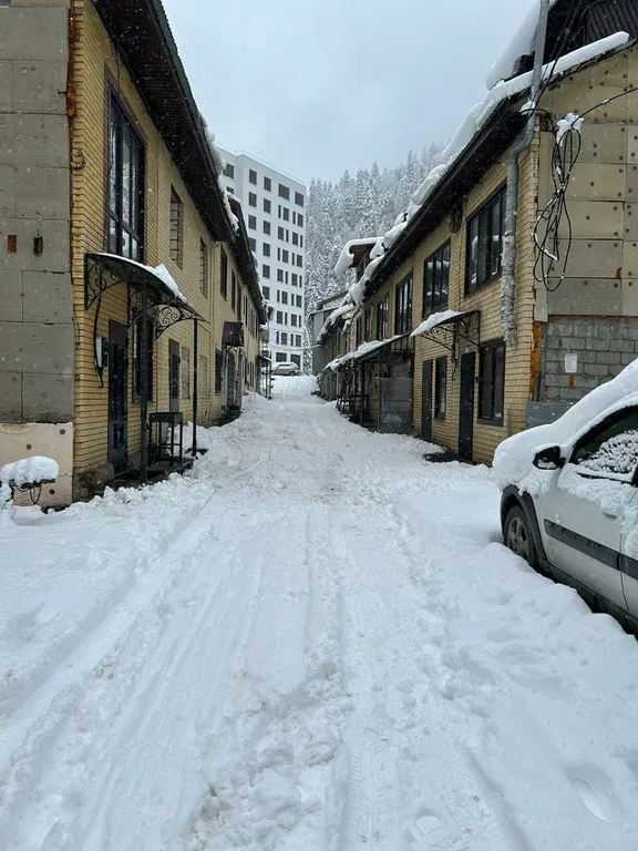 Таунхаус Пихтовый мыс