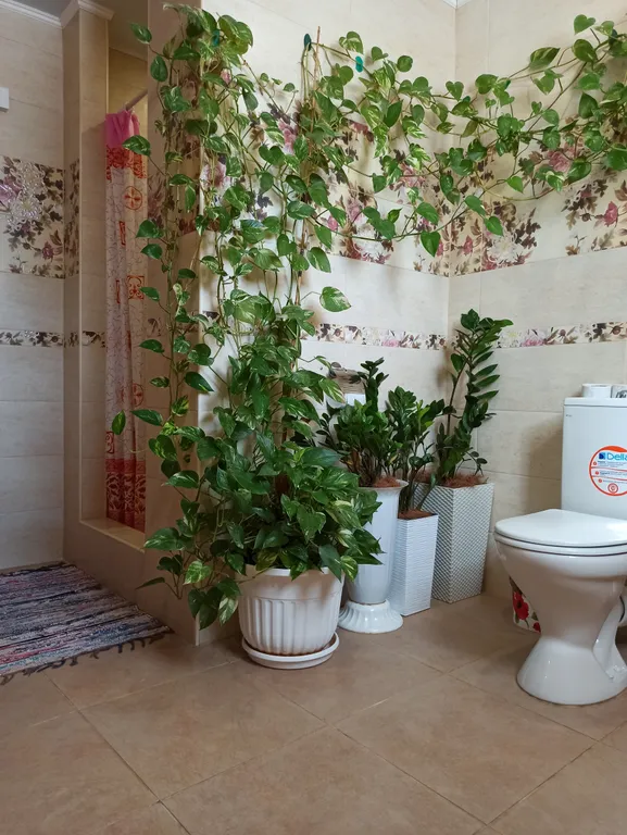 Апартаменты  Августин