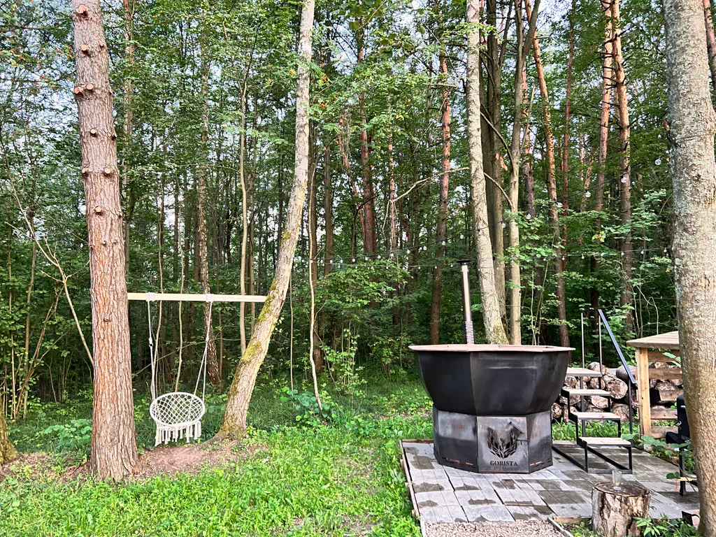 Барнхаус в окружении леса – здесь время течет иначе