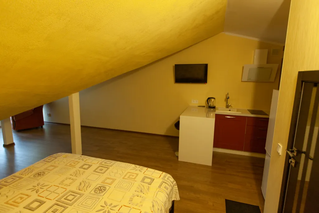 Квартира студия на мансарде