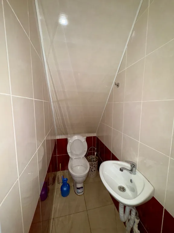 Уютный домик у моря в единственном лиановом лесу в России