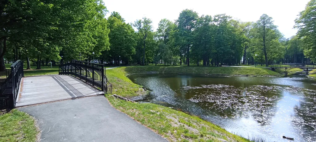 Апартаменты Parkovaya Street с видом на парк Швыковских