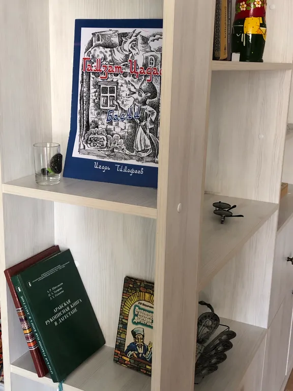 Студия с видом на Тарки-Тау