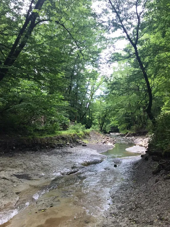 Уютный дом с просторной территорией