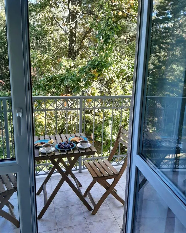 Квартира 1-комнатная Квартира — Светлогорск