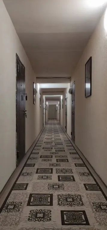 Евродвушка