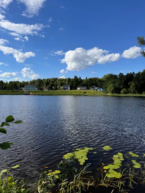 Дом Радха в Березовой роще