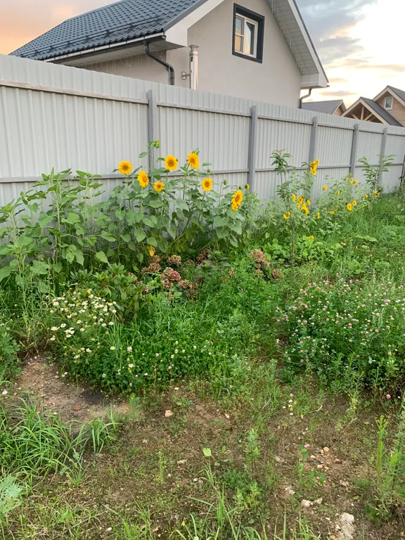 Уютный дом у леса и озера