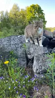 Сумериа Village Парк 