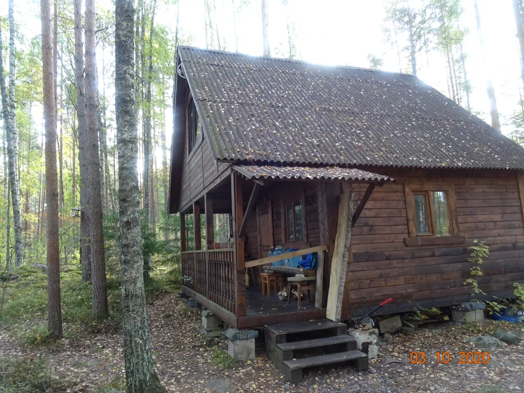 Хижина в лесу на берегу озера без соседей