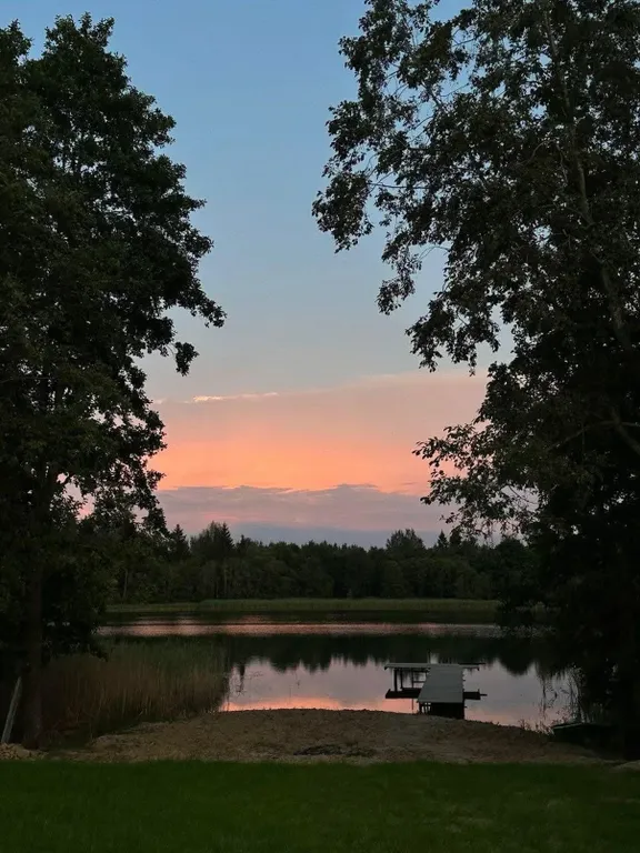 Хвойный дом