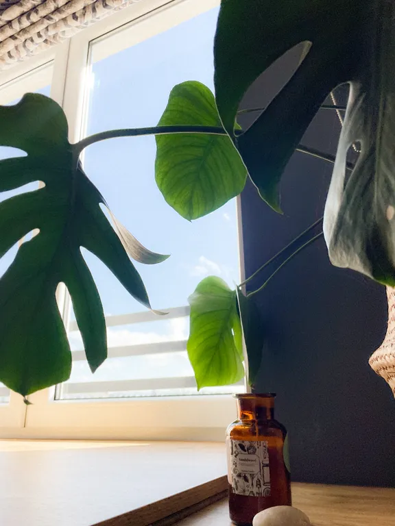 Стильные апартаменты