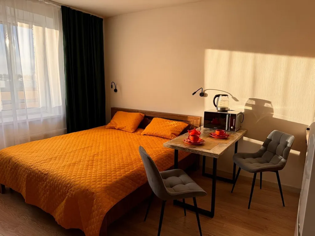 Квартира Квартира Студия Песочный, НИИ Петрова/Гранова/Напалкова — Песочный