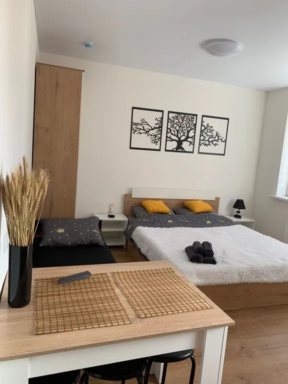 Квартира Уютная студия — аренда посуточно в Мурино