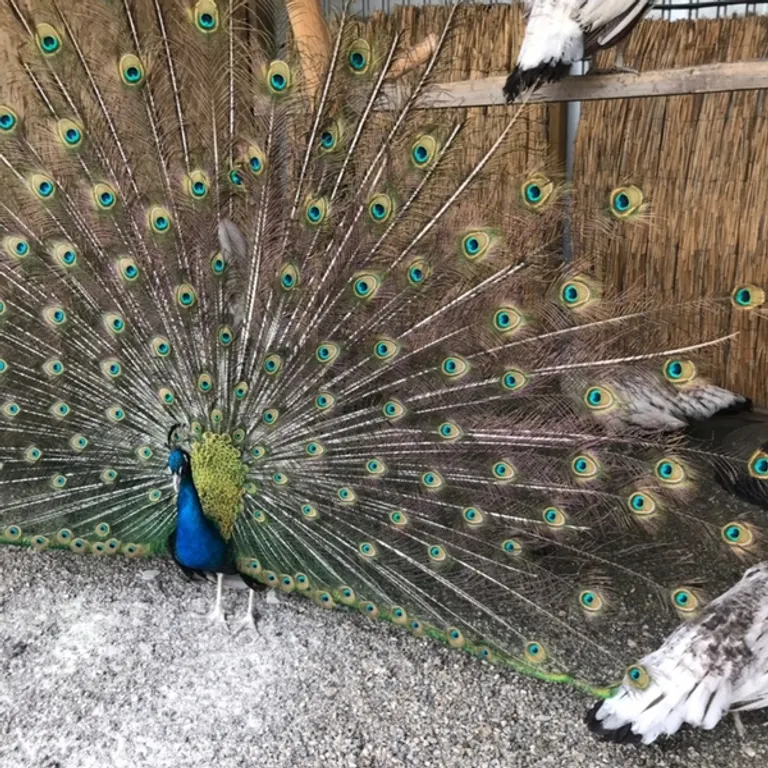 Дом Тропик у озера Увильды