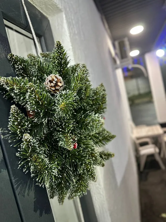 Новые семейные апартаменты, двор, мангал