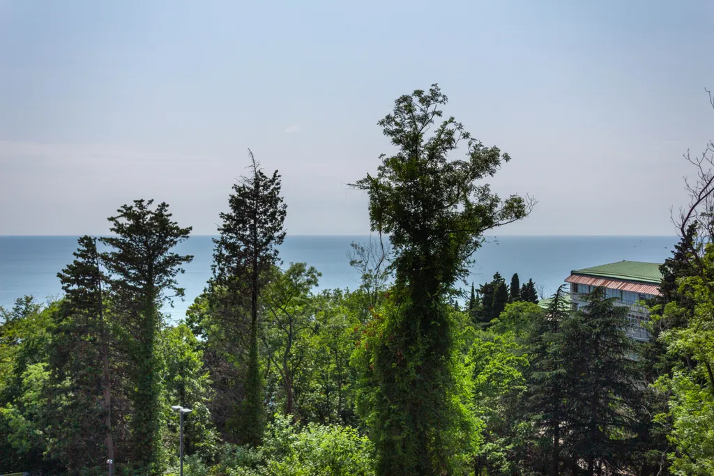 Актёр Гэлекси 2-комнатный апартамент