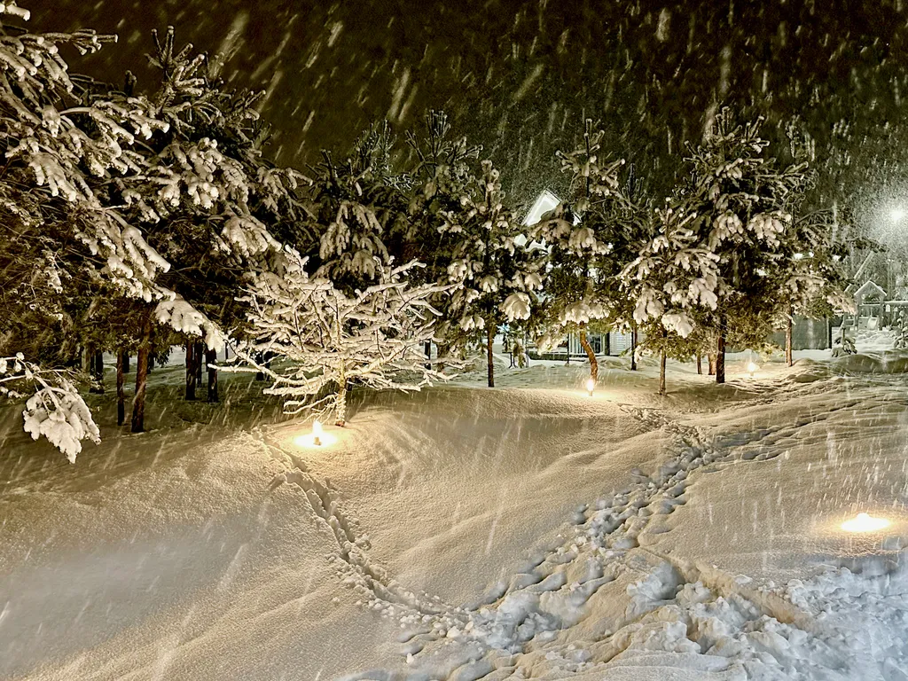 Коттедж 1-комнатный Дом — Сясьстрой