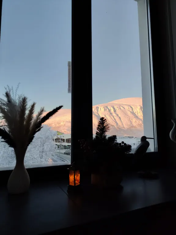 Квартира с сауной с профессиональным сушильным шкафом