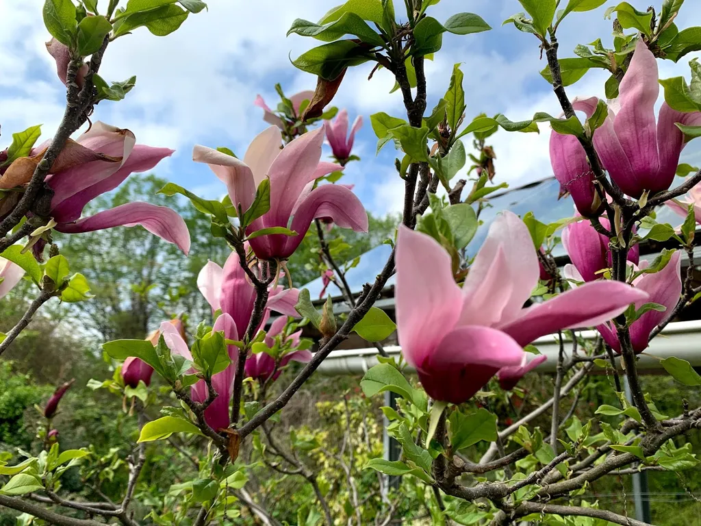 Коттедж Умный дом с кипарисами и видом на море с мансардным этажом — Сочи
