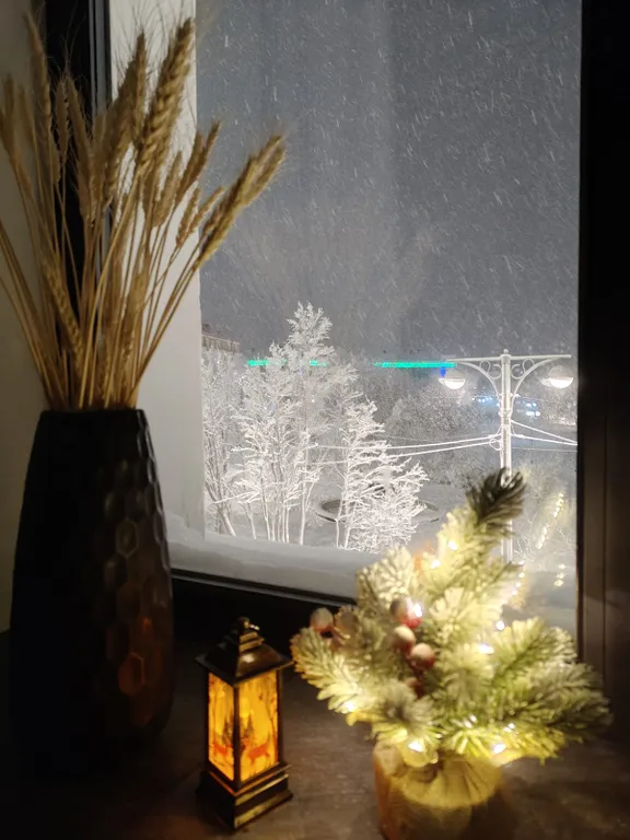 Квартира с сауной с профессиональным сушильным шкафом