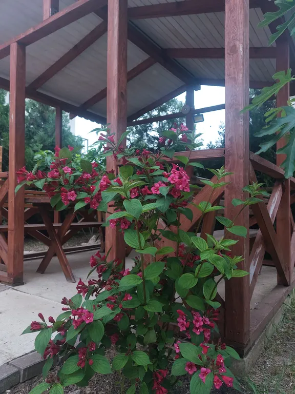 Уютная квартира у моря