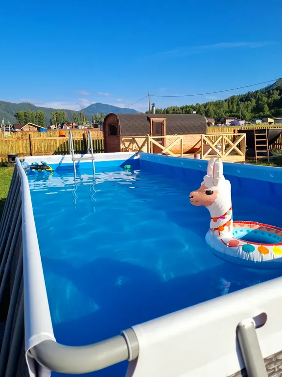 Дома возле Катуни среди гор