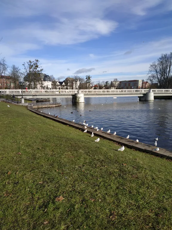 Квартира Квартира У мамы Вари — Калининград