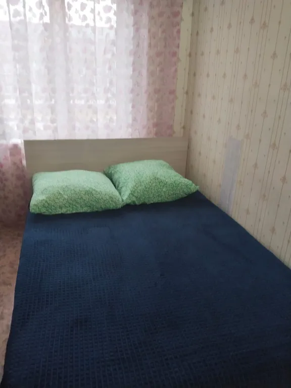 Двухкомнатная квартира у дворца