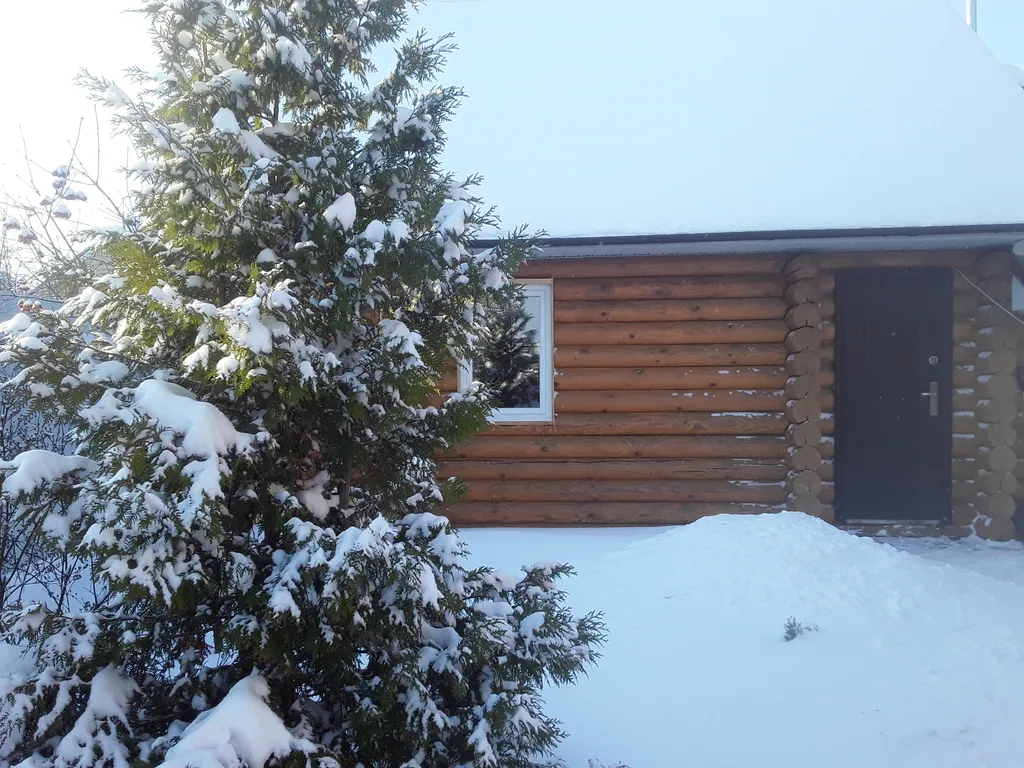 Коттедж Уютный коттедж с кондиционером, с баней на дровах и бассейном на улице — Казань