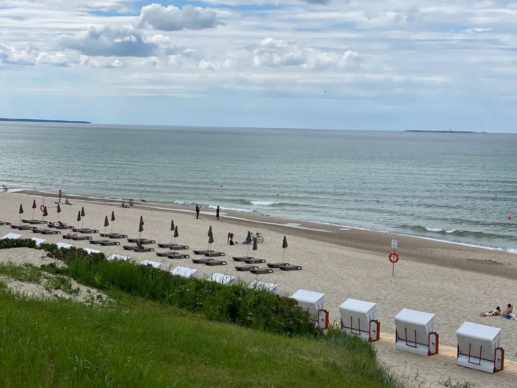 Orchid classic apartment Zelenogradsk center