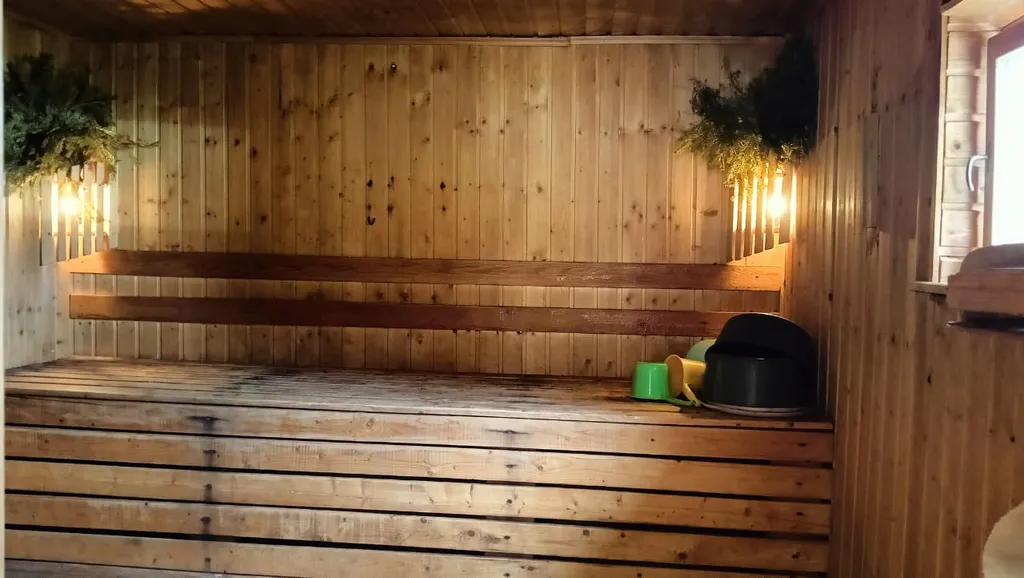 Уютный домик с русской баней и чаном