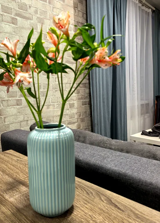 Уютные апартаменты-студия