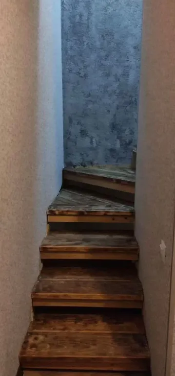 Танхаус Макси