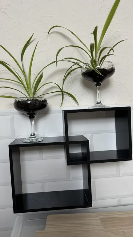 Уютный стильный номер