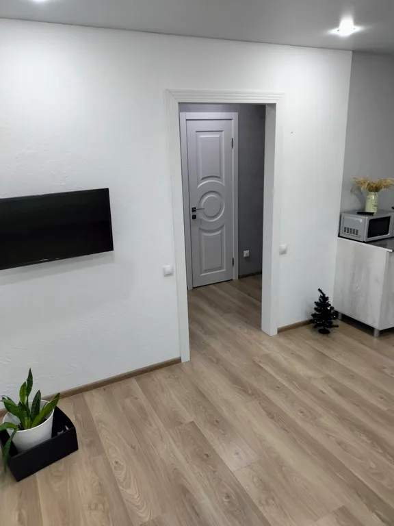 Уютная однокомнатная квартира