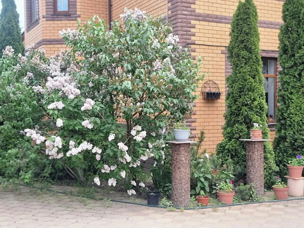 Дом у метро