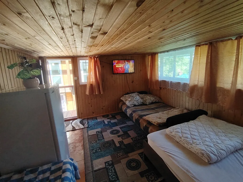 Летний номер с видом на березовый лес