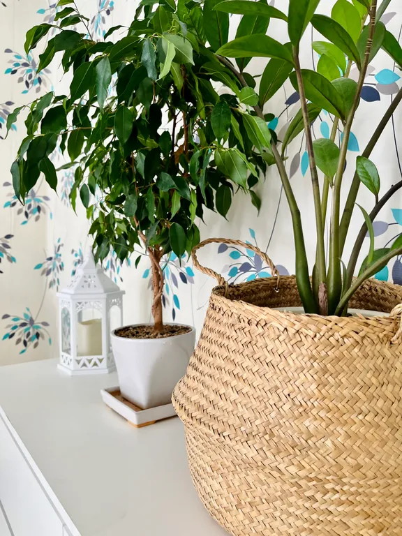 Двухкомнатные апартаменты с балконом Sinyaya ptichka