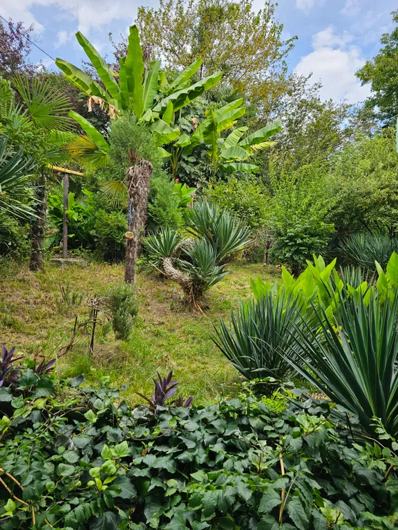 Квартира Квартира в лучезарном сочи — Нижнее Учдере