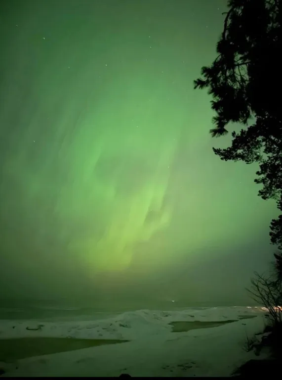 Комфортная квартира на первой линии Финского залива