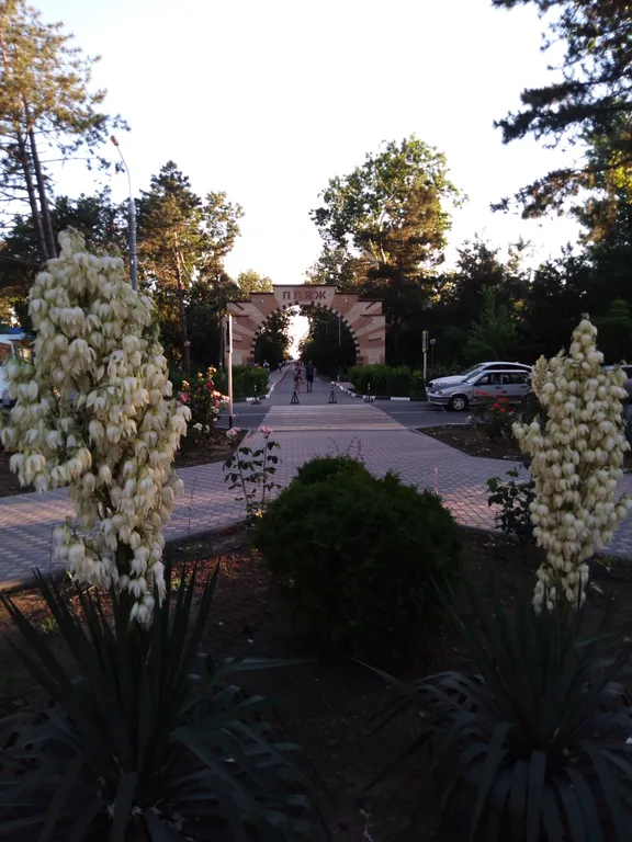 Квартира на берегу моря